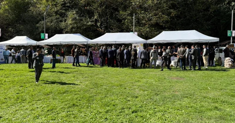 Lerikdə ilk dəfə “Eko Festival” təşkil olunub