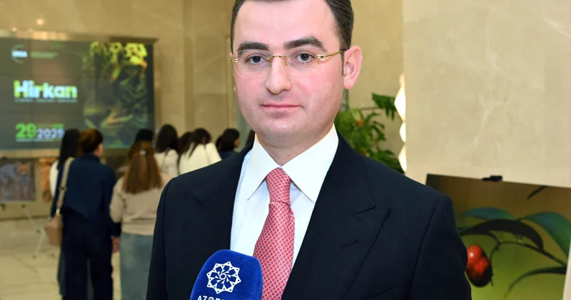 Hikmət Nağdəliyev: Gələn il növbəti filmi Azərbaycan ictimaiyyətinə təqdim edəcəyik