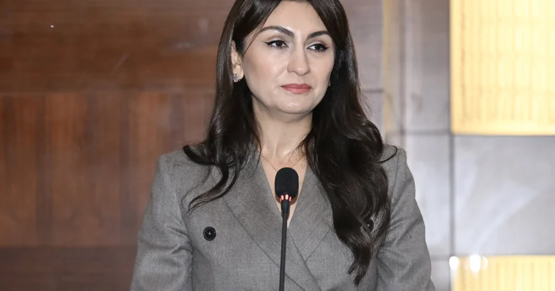 Aİ yə ixrac olunarkən karbon vergisi nə cəlb edilən Azərbaycan məhsullarının həcmi açıqlanıb