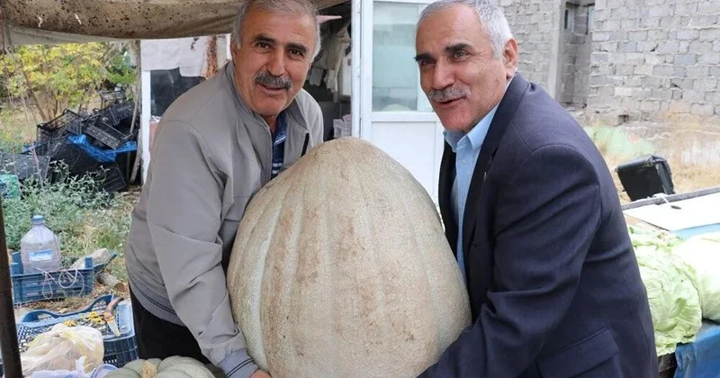 2 nəfər güclə daşıdı, beləsi ilk dəfə göründü