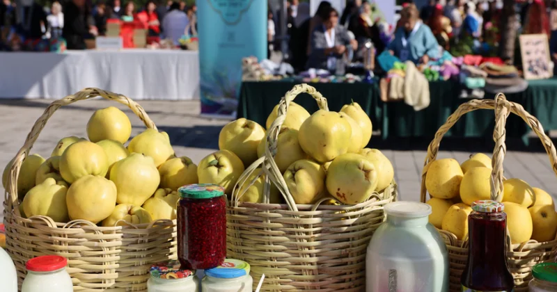 Ağdaşda “Heyva” və “Aqrar biznes” festivalları keçirilib