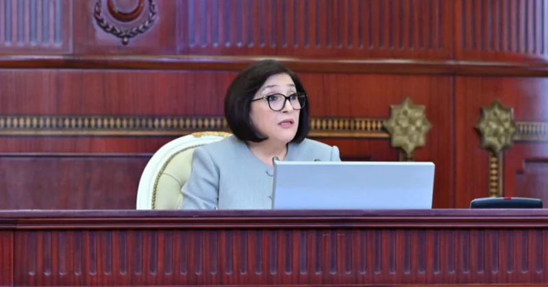 Konstitusiyamızdakı prinsiplər öz təsdiqini tapdı Qafarova