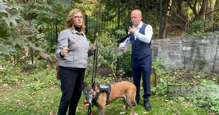 Институт наследия Маршалла США вручит награду сотруднику ANAMA и собаке саперу