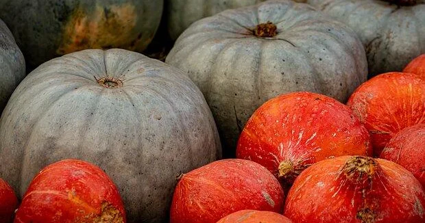 Перечислены восемь продуктов для борьбы с осенней хандрой