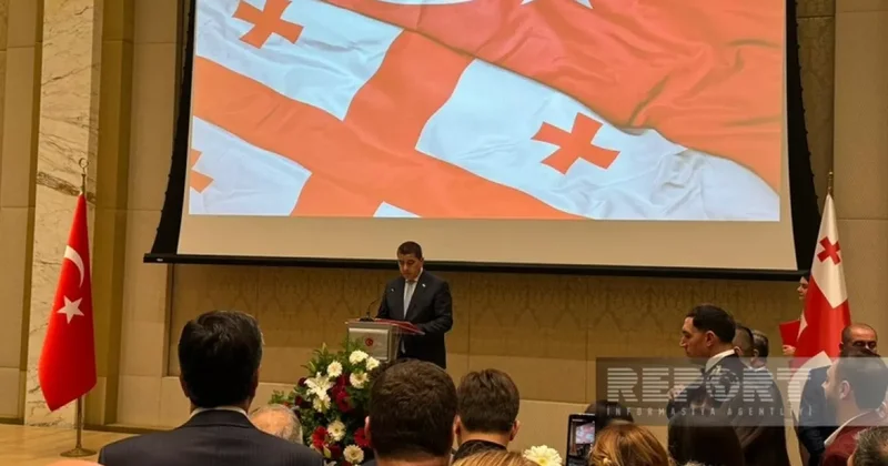 Папуашвили: Грузия решительно поддерживает мир и сотрудничество на Южном Кавказе