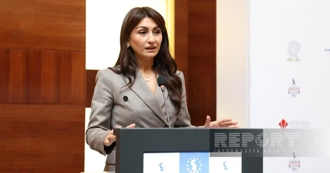 Samirə Musayeva: Azərbaycan Aİ yə ixrac edəcəyi məhsullara görə karbon vergisi ödəyəcək