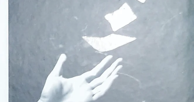 Vətən sevdalı şeiriyyət