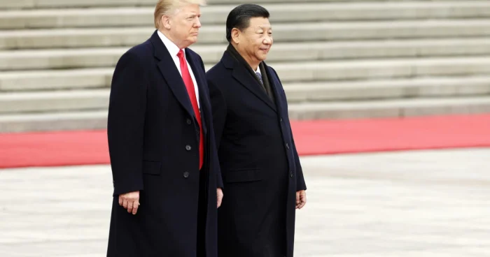 Tramp: Görüş gözəl keçəcək