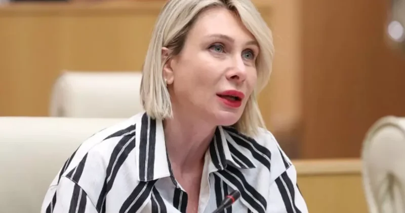 Вице спикер Цилосани: Важнейшая цель Баку и Тбилиси обеспечение независимости