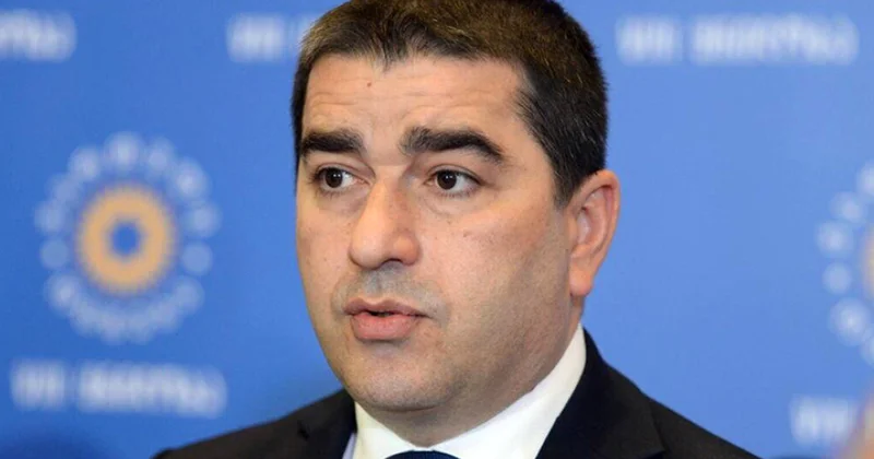 Şalva Papuaşvili: AŞPA məruzəçilərinin bəyanatı impulsiv reaksiyadan başqa bir şey deyil