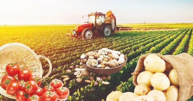 İnsandan zəhmət torpaqdan bərəkət