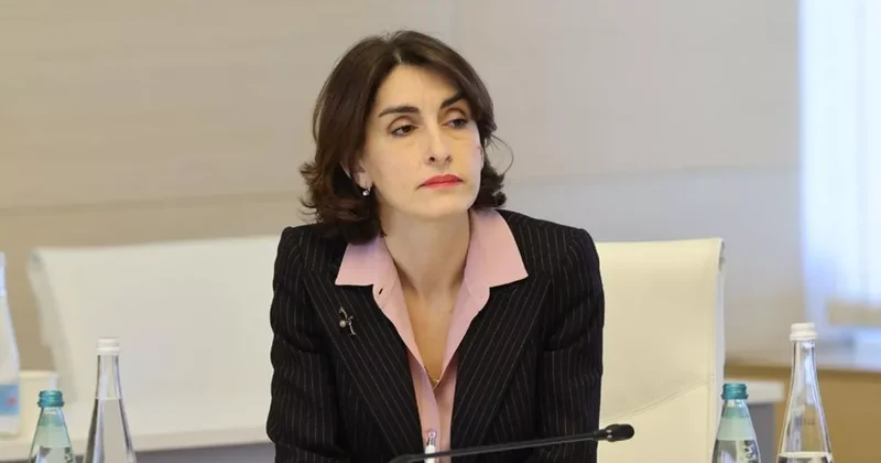 Обход санкций: глава МИД Грузии обвинила страны Балтии