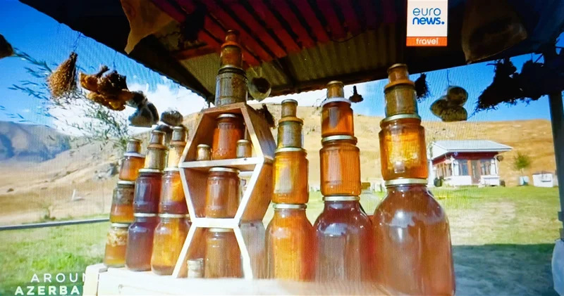 Телеканал Euronews посвятил сюжет Нахчыванскому региону Азербайджана ФОТО ВИДЕО