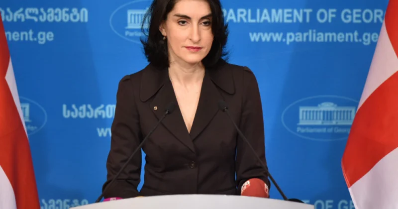 Maka Boçorişvili: Avrop Komissiyasının hesabatında obyektiv qiymətləndirmələr gözləmək çox çətindir