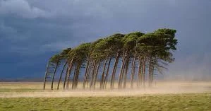 В Азербайджане наблюдаются ветреная и дождливая погода