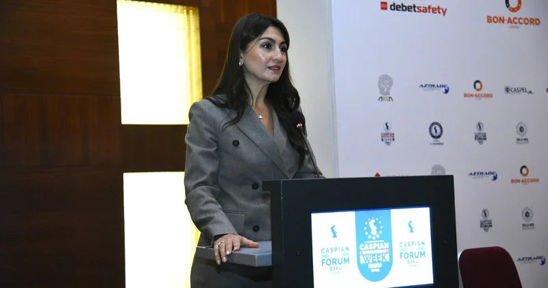 Азербайджан реализует собственные цели по адаптации к глобальному изменению климата