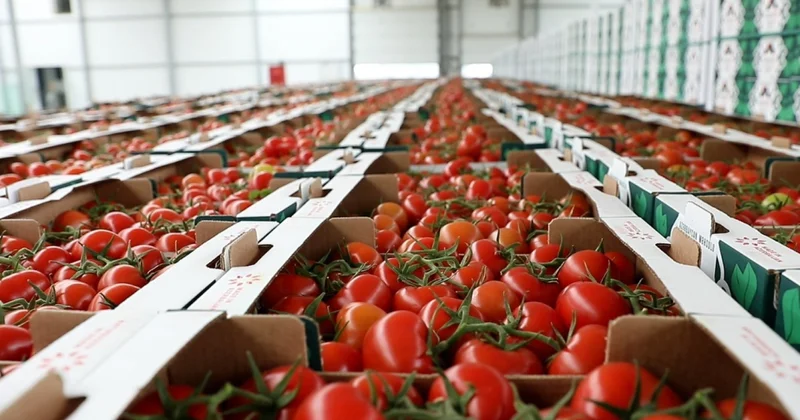 AQTA: İxracatçılardan idxalçı ölkələrin qablaşdırma və etiketləmə tələblərinə əməl edilməsi tələb olunur