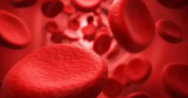 Zəka və xarakter qan qrupundan asılıdırmı?
