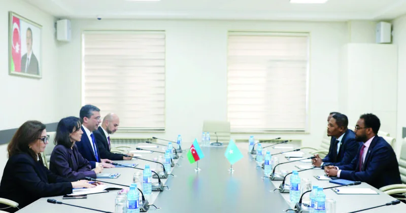 Somali naziri Media və Yayım Şurasında
