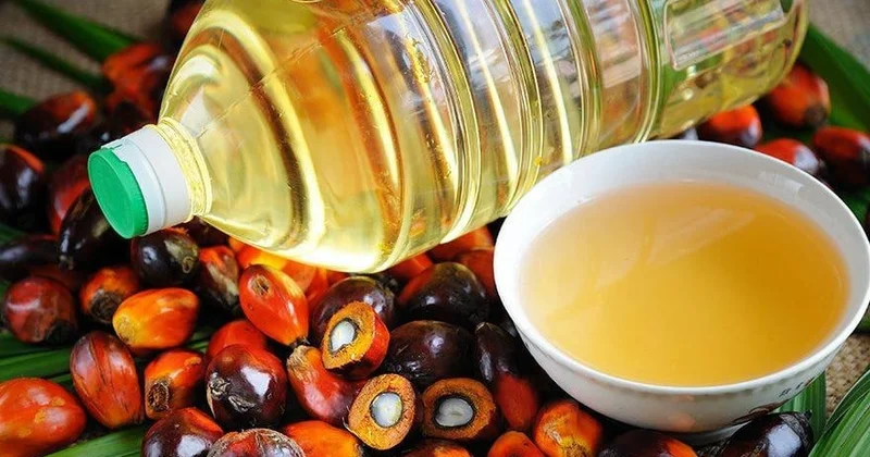 Azərbaycanda palma yağı qadağan edilir? AÇIQLAMA