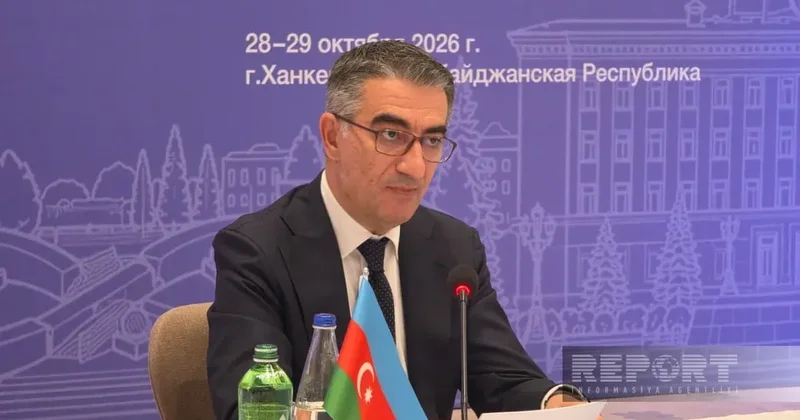 Багиров: Расследованы случаи злоупотребления доминирующим положением