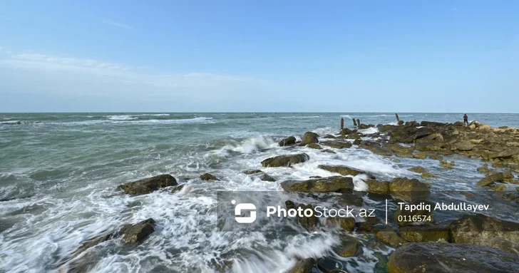 Каспийское море отступает: экологические последствия и перспективы стабилизации уровня воды