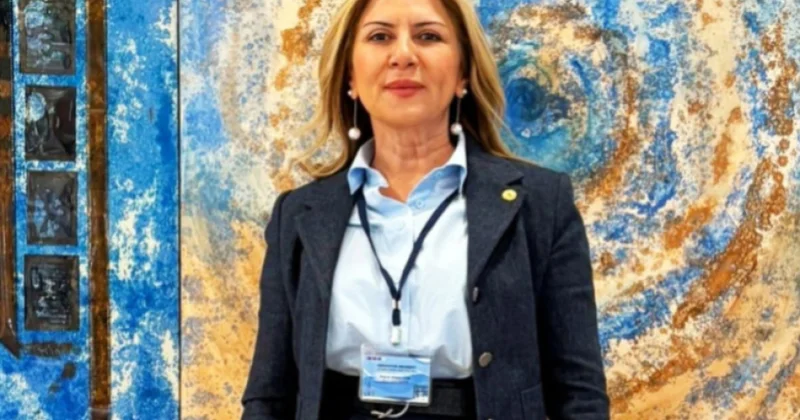 Türk professor: Azərbaycanın beynəlxalq platformalarda fəallığı xarici siyasətin yeni mərhələsini müəyyən edə bilər