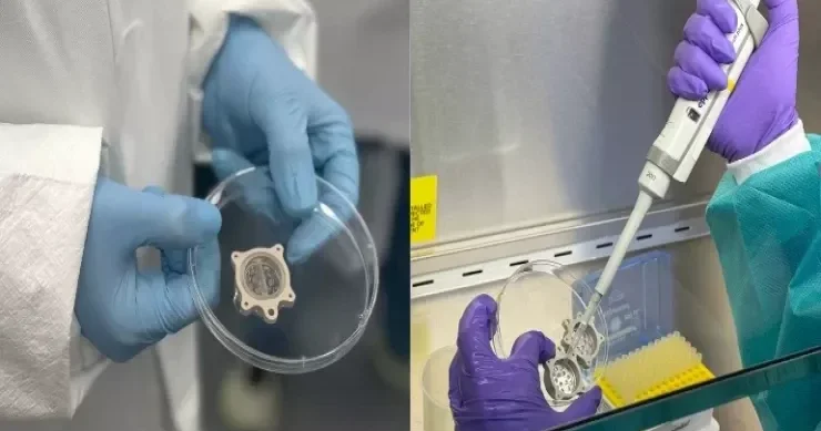 NASA kosmosa insan beyni göndərir