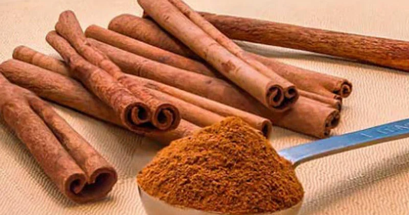 Darçının faydaları: Hər gün istifadə etmək olarmı?