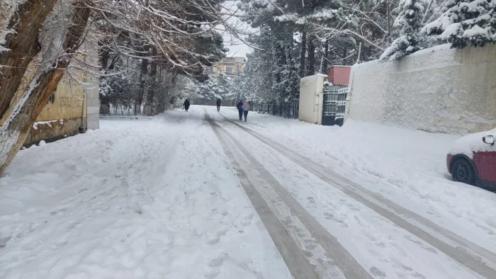 BŞİHdə müşavirə: Ərazinizi qardan özünüz təmizləyin!