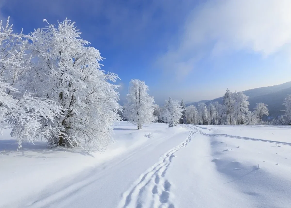 Dekabrda havanın temperaturu iqlim normasına yaxın olacaq