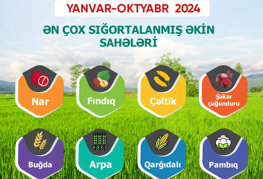 Meyvə bağları və əkin sahələri üzrə aqrar sığorta ödənişləri 4 dəfə artıb AZƏRTAC