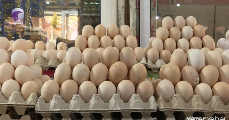 Paytaxtda və bölgələrdə kənd yumurtası kəskin BAHALAŞDI VİDEO