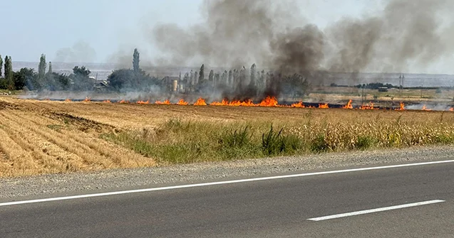 Kəlbəcərdə yanğın başlayıb