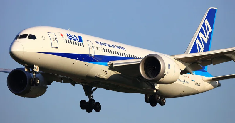 В Японии отменили десяки рейсов из за самолетов Airbus