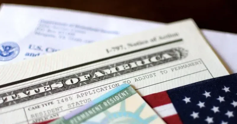 ABŞ bütün sığınacaq müraciətlərinə baxışı dayandırıb