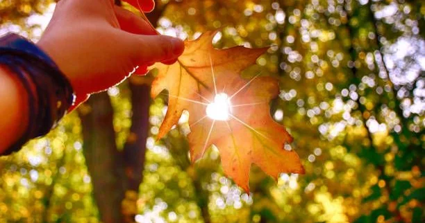 Noyabrın son günü hava necə olacaq? KONKRET