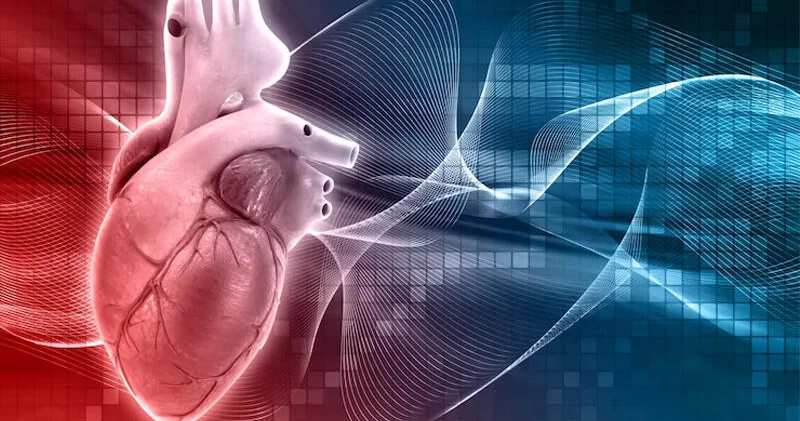 3 min insanın nə yeyib içdiyini illərlə izlədilər Ürəyi yormayan qidalar açıqlandı