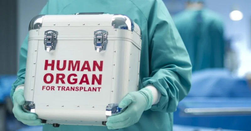 Orqan transplantasiyası: Yalnız beyin ölümü gerçəkləşdikdən sonra mümkündür?