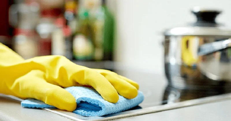 Ən çirkli məişət əşyası