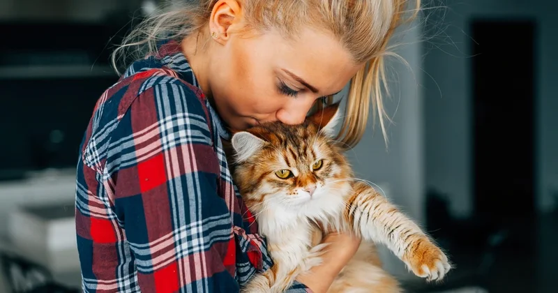 Yeni DNT analizləri: Pişiklər insanlarla düşünüldüyündən daha gec dostlaşıb