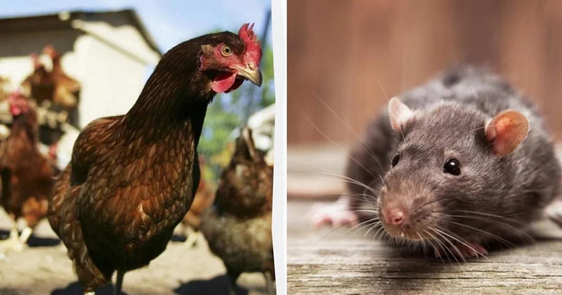 1975 ci ildən bu günə: İnanılması çətin olan 5 xəbər başlığı