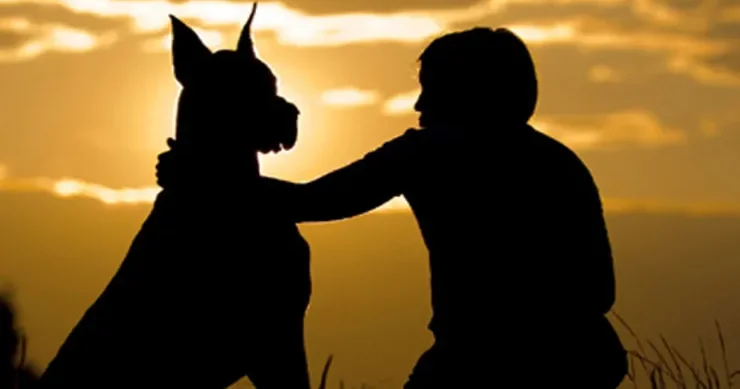 İtlər insanların qohumudur? ARAŞDIRMA