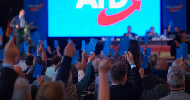 Депутата бундестага от АдГ избили