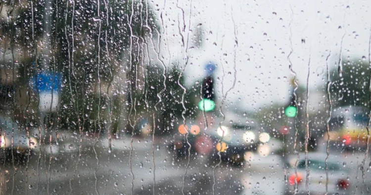 Bazar gününün hava proqnozu