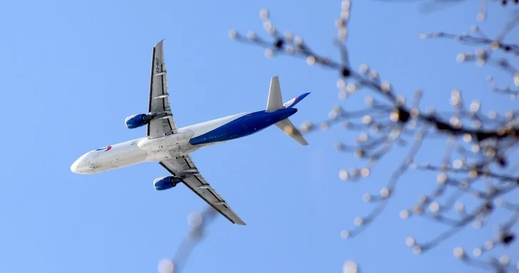 По всему миру начали задерживать рейсы из за проблем у Airbus A320