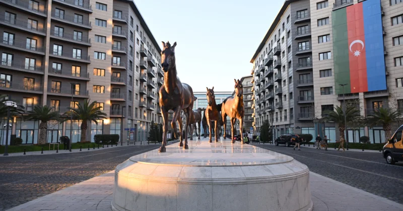 Алиевы в Баку Белый город фото