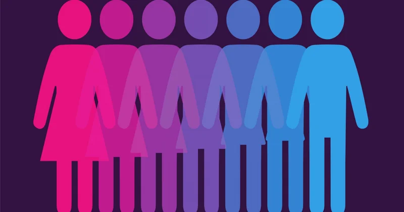 Ölkədə gender əsaslı zorakılığa dair sorğu aparılacaq