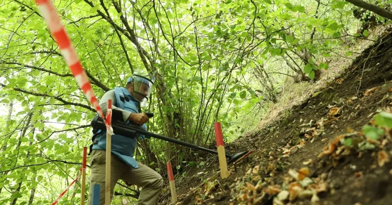 ANAMA: От мин и неразорвавшихся боеприпасов очищено более 900 гектаров