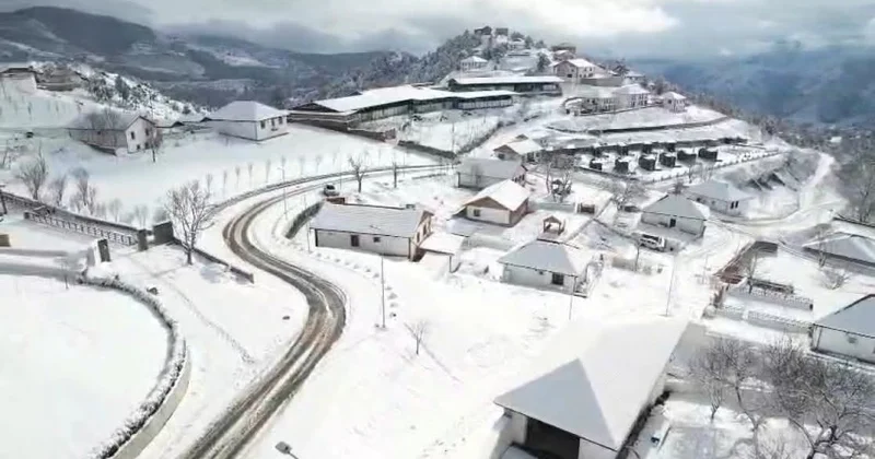 Nağıl kimi: Laçından möhtəşəm VİDEO